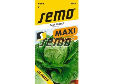 3848 semo zelenina salat rimsky globus 256x500