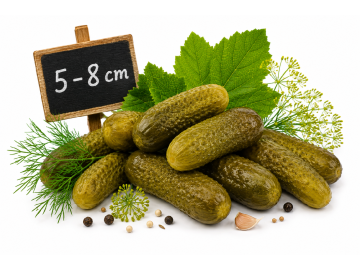 Okurky nakladačky 5 8cm