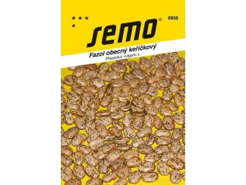 0958 semo zelenina fazol obecny kerickovy taylors horticultural 600x892