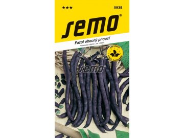 0935 semo zelenina fazol obecny pnouci purple podded climbing