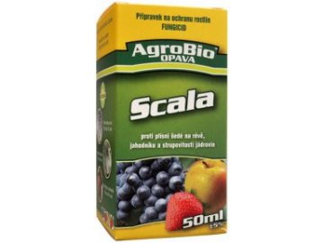 vyr 3368 003267 Scala 50 ml