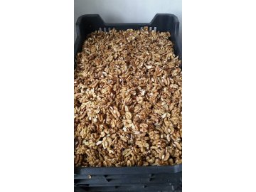 Jádra vlašských ořechů prodej Brno