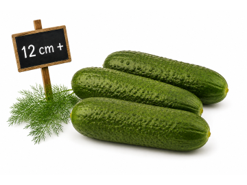 Přerostky 9 12 cm