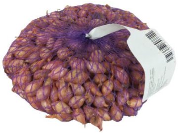 sazečka Rosanna růžová