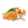Cibule sazečka ozimá - AUGUSTA