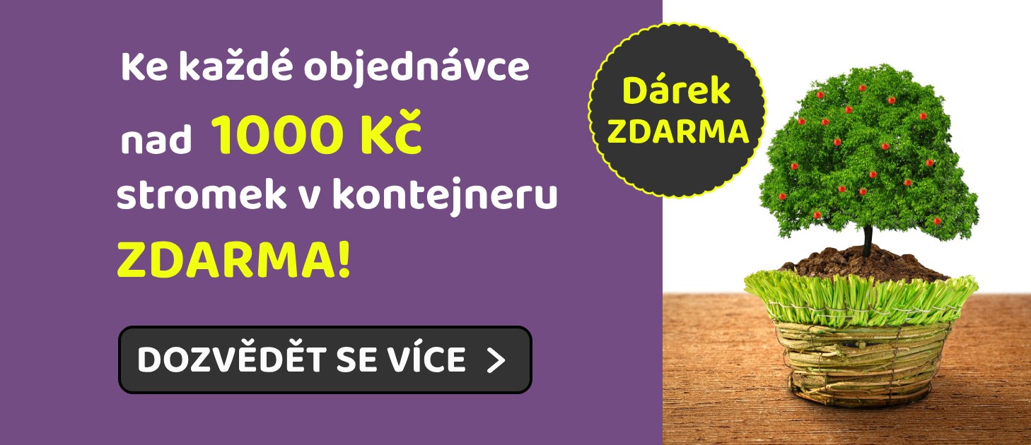 dárek zdarma stromek v kontejneru ovostromky.cz