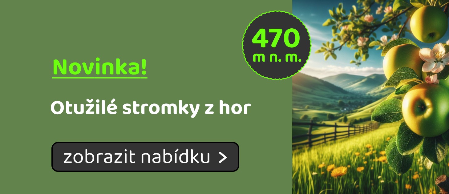 Otužilé stromky z hor 470 m n. m. ovostromky.cz