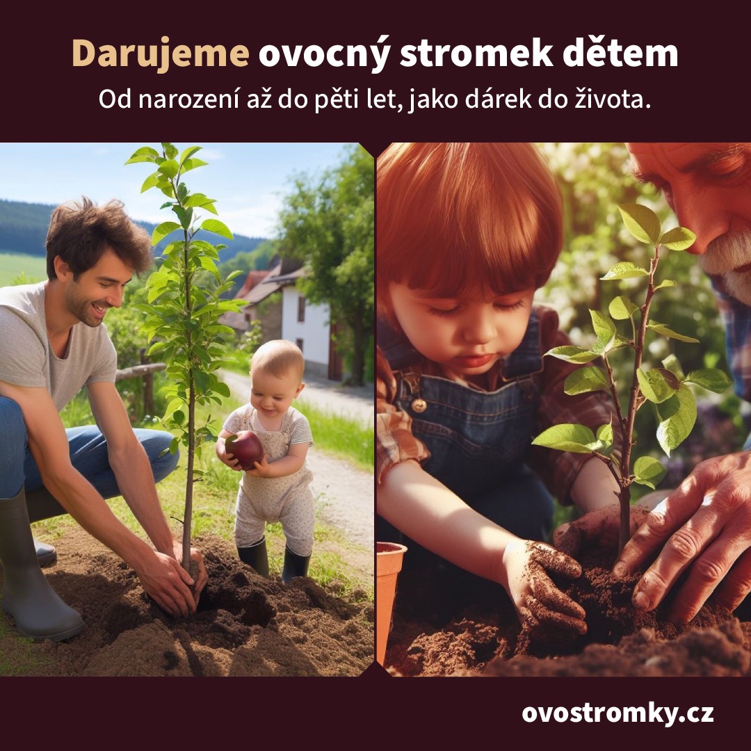 darujeme_1A