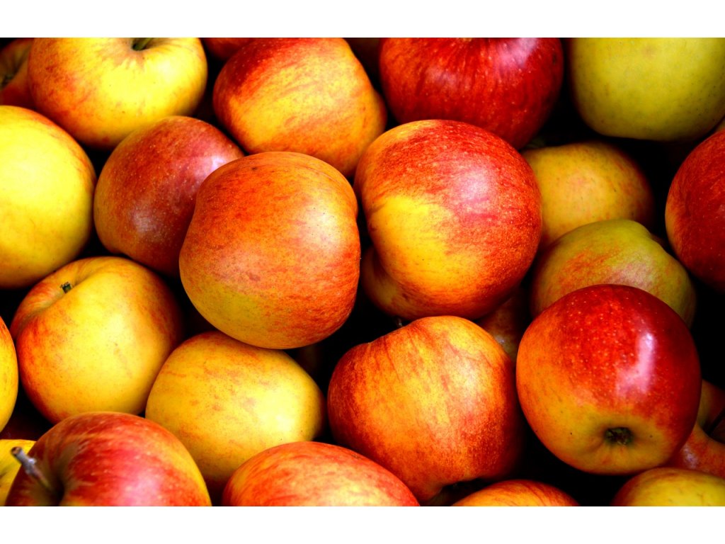 Jabloň Lord Lambourne plodí vynikají jablka ovostromky