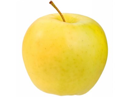 Jabloň Golden Delicious (M26) - kontejner