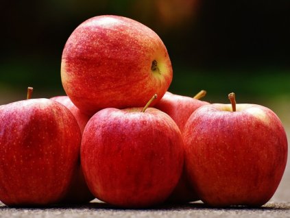 3484 jablon royal gala mm106 ovostromky