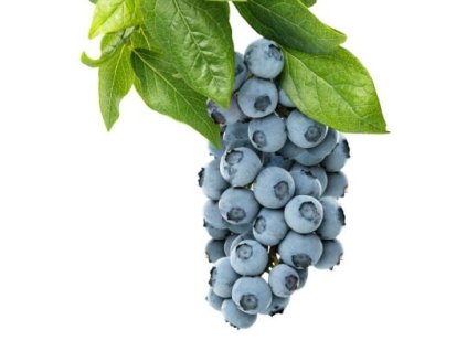 cucoriedky
