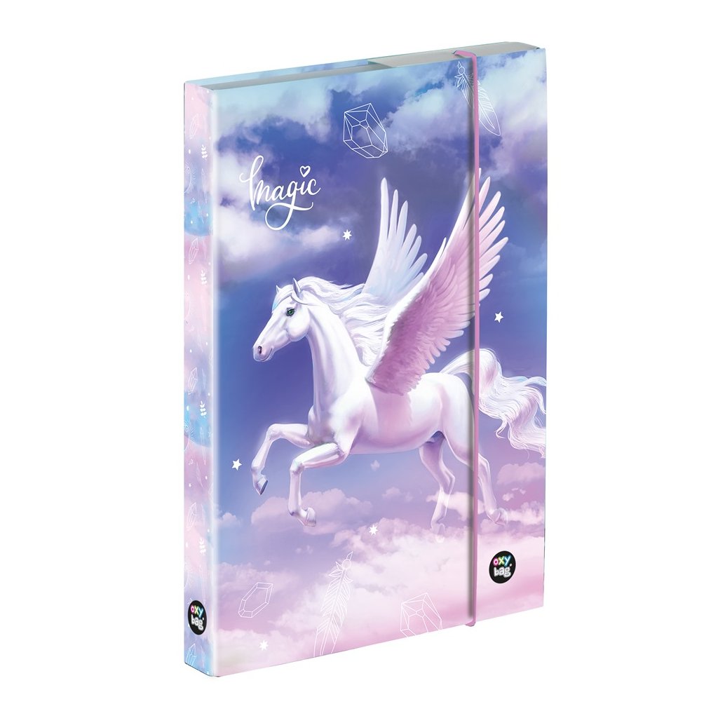 Box na sešity A5 Pegas magic