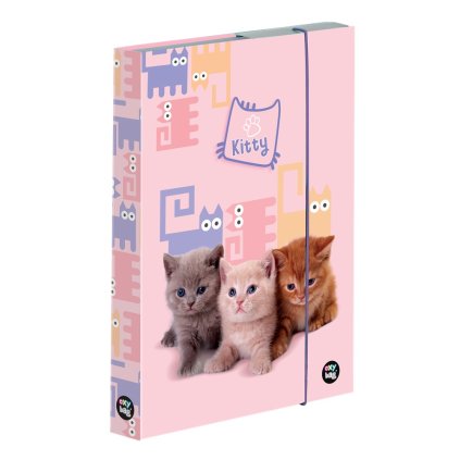Box na sešity A5 Mazlíčci koťátka