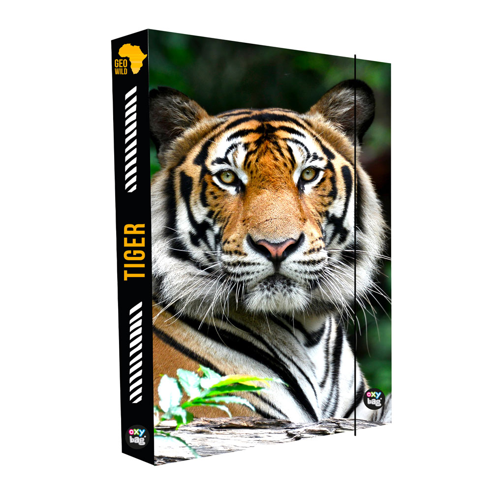 Levně Oxybag Box na sešity A4 Jumbo Tiger