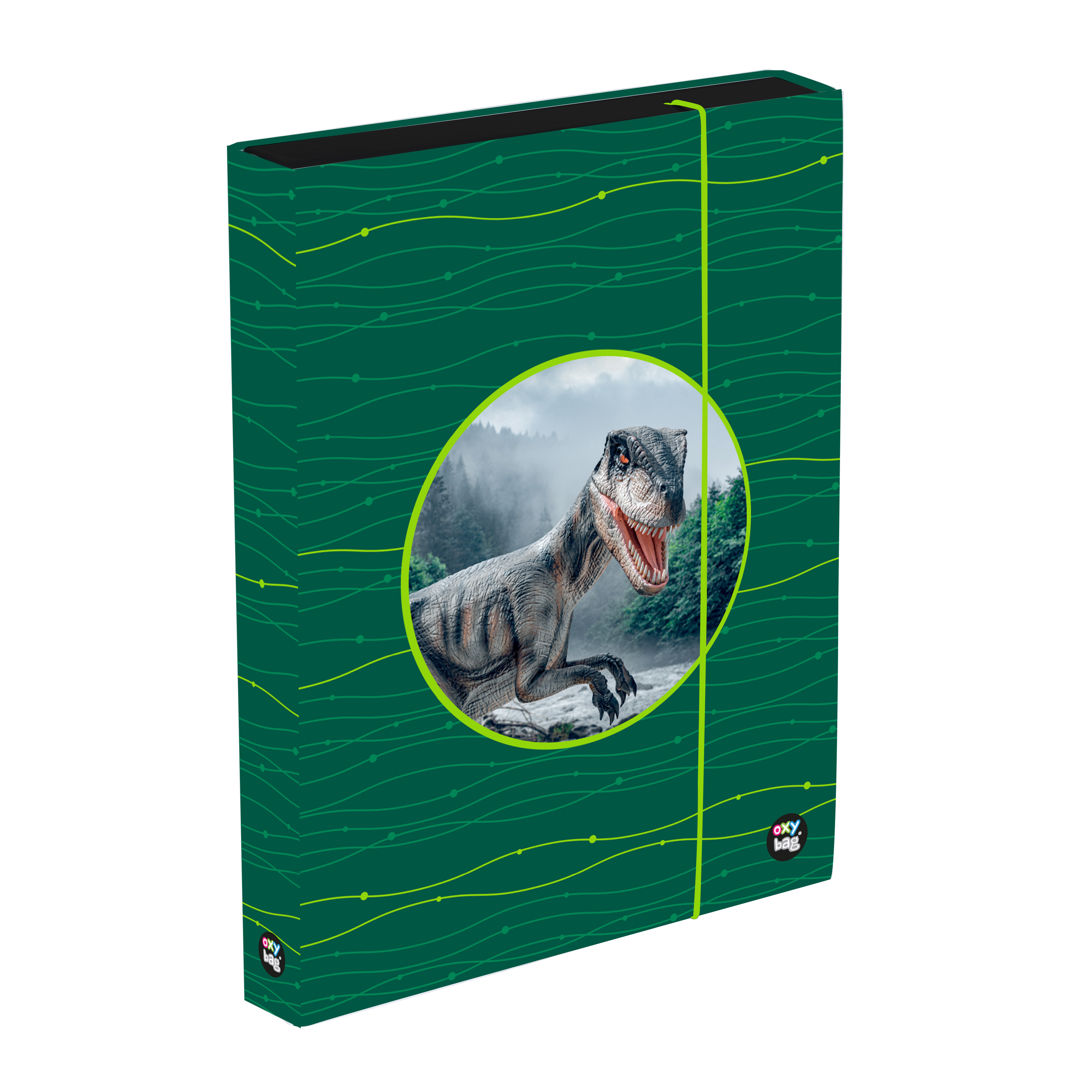 Oxybag Box na zošity A4 Jumbo OXY Sherpy Green