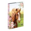 Školský set 4-dielny PREMIUM kôň romantic