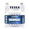 Tesla silver AA