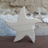 Dřevěná mořská hvězdice přírodní