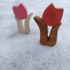 červená a růžová verze tulipánu ze dřeva foceno na sněhu