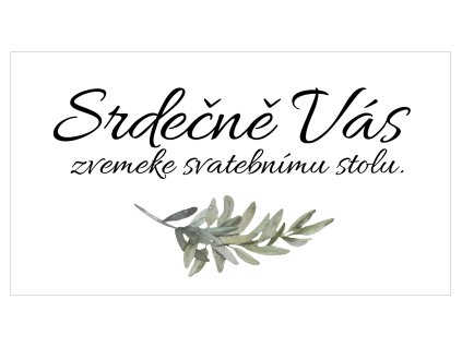 4565 pozvanky 15