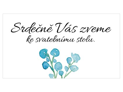 4619 pozvanky 33