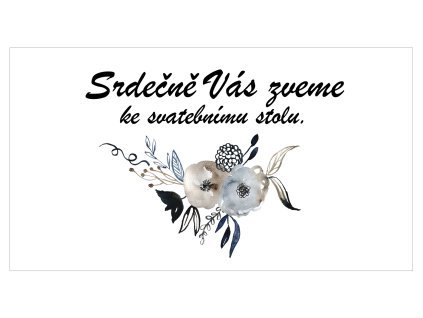 4646 pozvanky 42