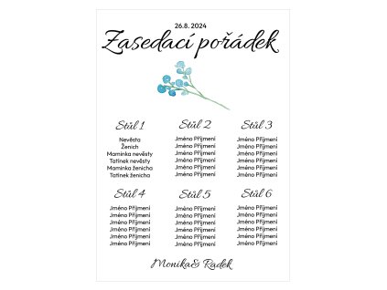 5519 zasedaci poradek 33