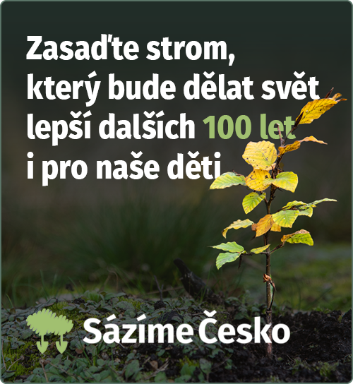 Zasaďme strom v ČR