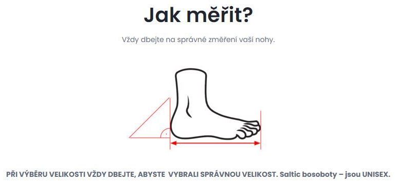 Jak-merit-Saltic