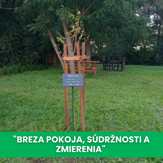 "BREZA POKOJA, SÚDRŽNOSTI A ZMIERENIA"