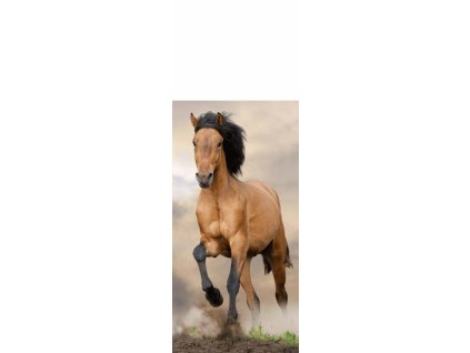 osuška dětská plážová
