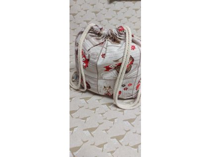 pytlík na přezůvky, tělocvik