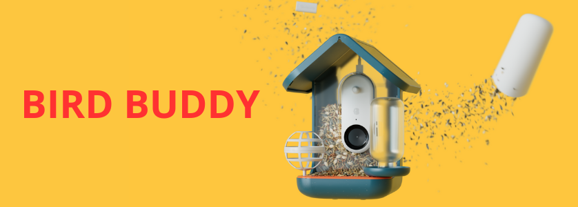 Nově u nás: Bird Buddy