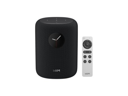 wiim sound (1)