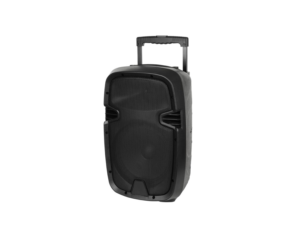 Aktivní reproduktor 20W (s 2 bezdrátovými mikrofony, SD, Bluetooth, USB) 10"