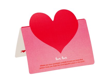 152033 ha7446 pudelko kwiatow M0