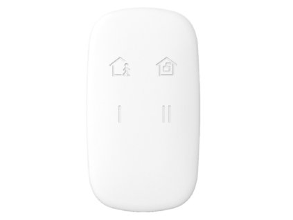 large ds pkf1 we ax pro keyfob