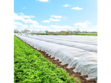 108490 ag0013 agrowloknina wiosenna 17 gsm 16 x 10 m M0