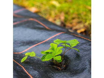 111351 ag0041 agrotkanina antychwastowa 90 gsm 32 x 10 m M0