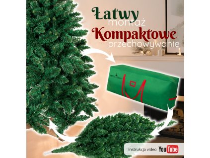 190950 ct0245 sosna lesna premium 180 cm M0