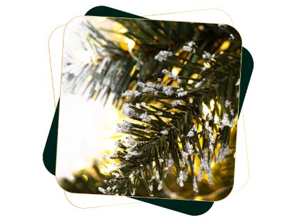 198000 ct0261 sosna diamentowa na pniu 140 cm M0