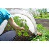AGROTEXTILIE 1,6 x 5 M JARNÍ BÍLÁ 17g *2067