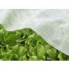 AGROTEXTILIE 1,6 x 5 M JARNÍ BÍLÁ 17g *2067