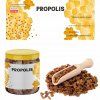 SADA 100 ETIKET PROPOLIS 116 x 50 MM *8337