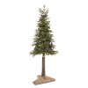 188067 ct0200 swierk natural na pniu 220 cm M0