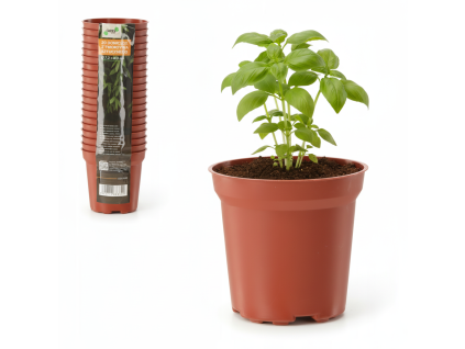 SADA 20 SAKSIJA PP 7,2 x 6,8 CM *3340