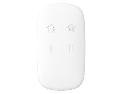 large ds pkf1 we ax pro keyfob