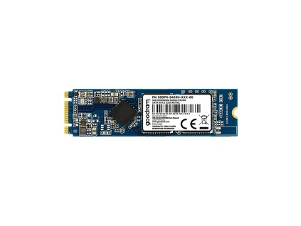 SSD disk 480GB SATA M,2 TGD-SSDPRS400U48080