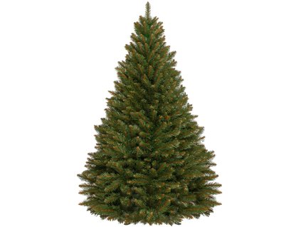 97570 ct0080 choinka swierk kaukaski 150 cm M0